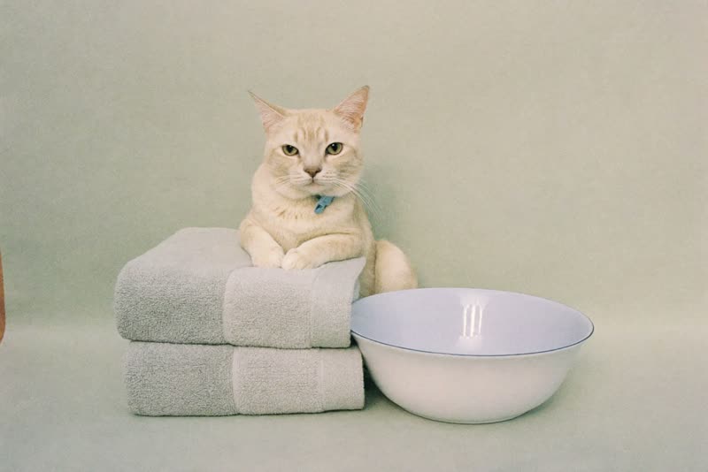 Clean folded towels and a plain bowl ready for the next appointment